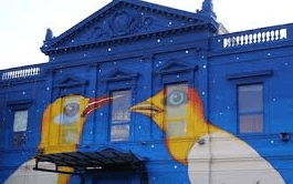 Rafa Durich: Un Viaje Íntimo y Latinoamericano en «Molino»