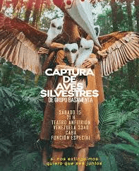 «Captura de Aves Silvestres»: Un Vuelo Anti-Narrativo que Cautiva Buenos Aires