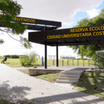 Descubriendo Tesoros Naturales y Arqueológicos de Buenos Aires