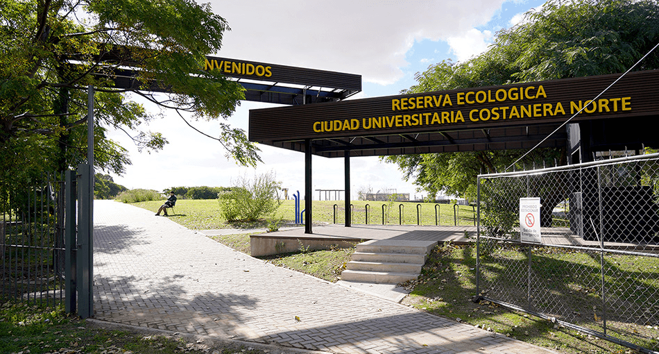 Descubriendo Tesoros Naturales y Arqueológicos de Buenos Aires