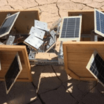 GAIA 3.0: El Arte que Une Naturaleza y Tecnología