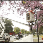 Buenos Aires, pionera en iluminación sustentable: “Una ciudad 100% LED con miras al futuro”