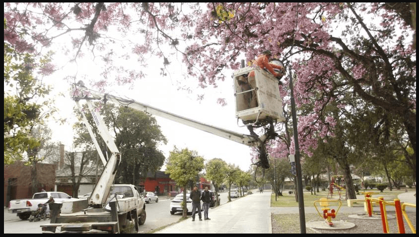 Buenos Aires, pionera en iluminación sustentable: “Una ciudad 100% LED con miras al futuro”
