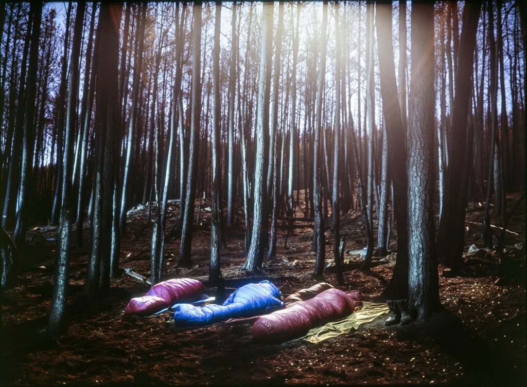 Conversación con Alejandro Chasquilberg: «Nature E», una Travesía Fotográfica en la Pandemia