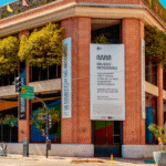 Arte y Bienestar: El Campamento de Verano en el Museo de Arte Moderno de Buenos Aires