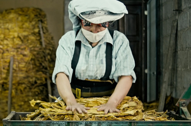 «Wacay, Mujeres del Tabacal»: Un Lente Íntimo hacia las Heroínas Invisibles del Campo Argentino