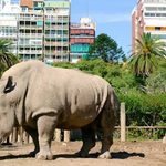 Actividades de Verano en Ecoparque de Buenos Aires: Un Espacio de Aprendizaje y Conservación