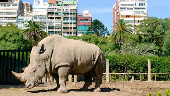 Actividades de Verano en Ecoparque de Buenos Aires: Un Espacio de Aprendizaje y Conservación